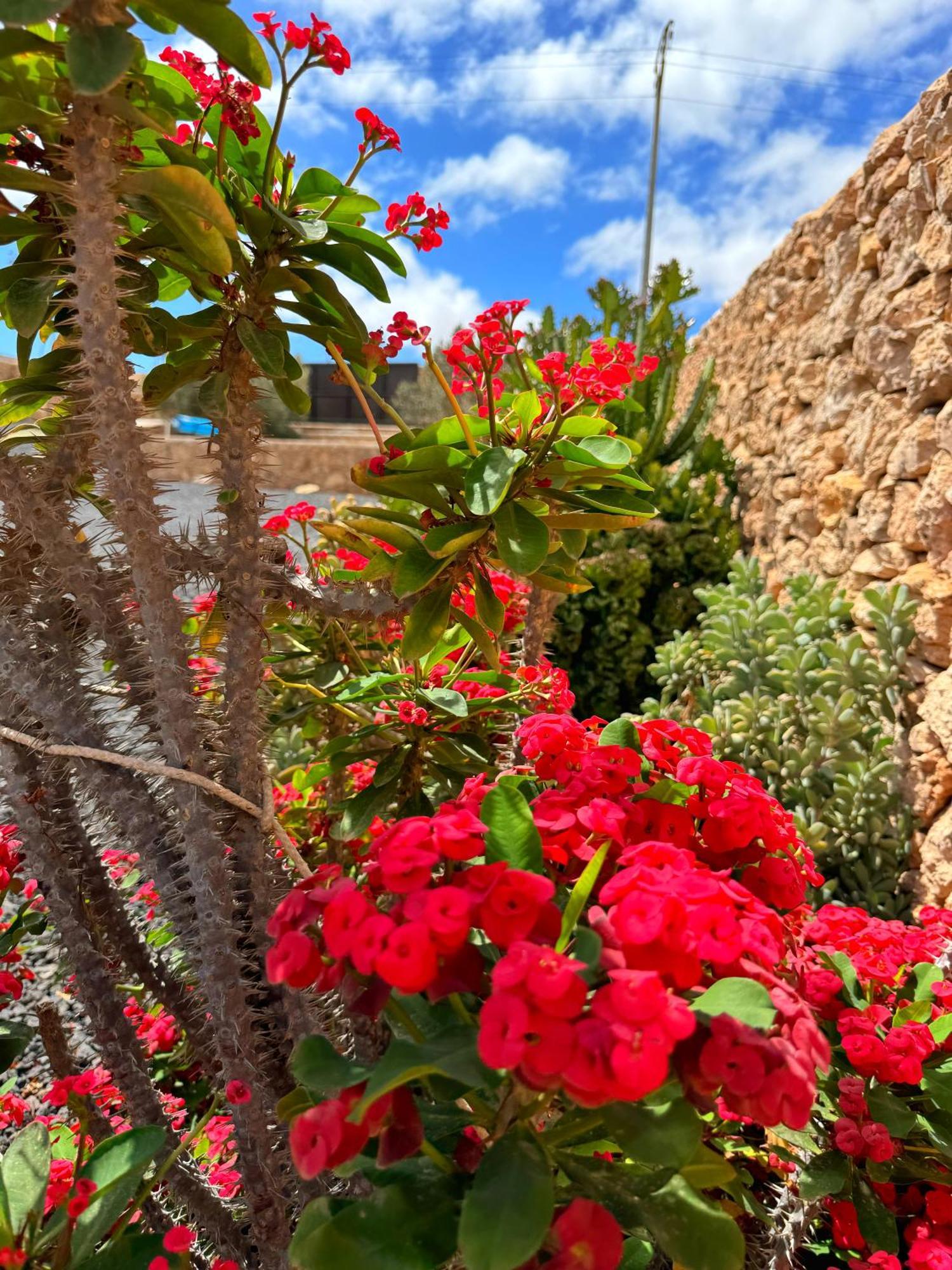 הוילה טינדאיה Casa Marisa With Heated Pool & Garden מראה חיצוני תמונה
